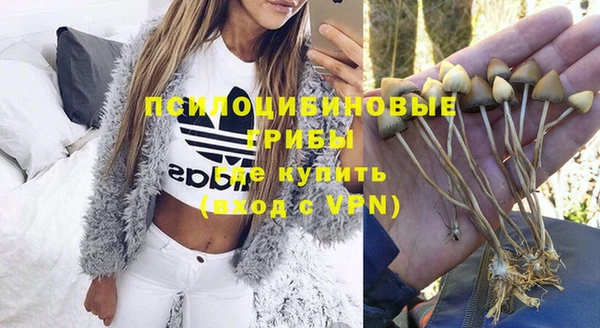 марки nbome Гусев