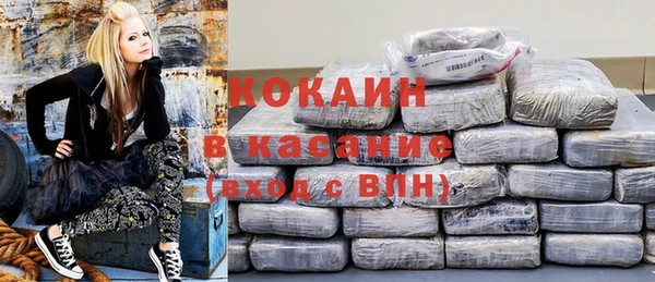 твердый Гусь-Хрустальный