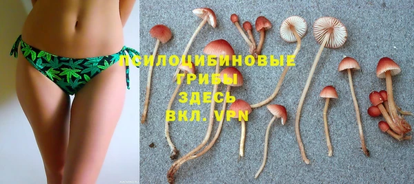 твердый Гусь-Хрустальный