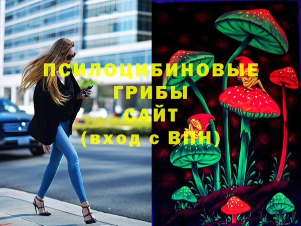 твердый Гусь-Хрустальный