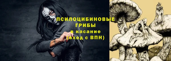 твердый Гусь-Хрустальный