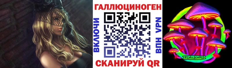 купить наркоту  Заводоуковск  Псилоцибиновые грибы Psilocybe 