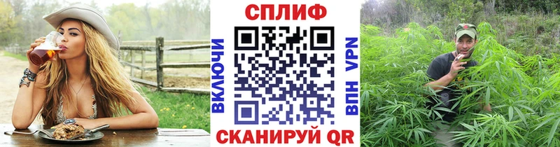 Канабис планчик  Заводоуковск 